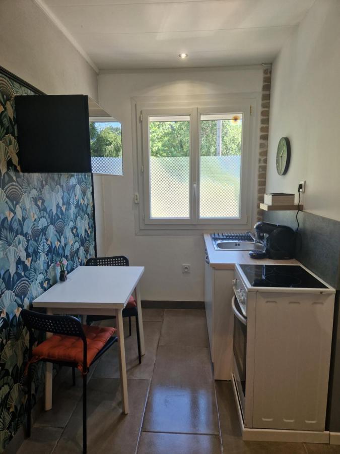 Appartement Independant Dans Maison Avec Jardinet, Au Calme Sérézin-du-Rhône Extérieur photo